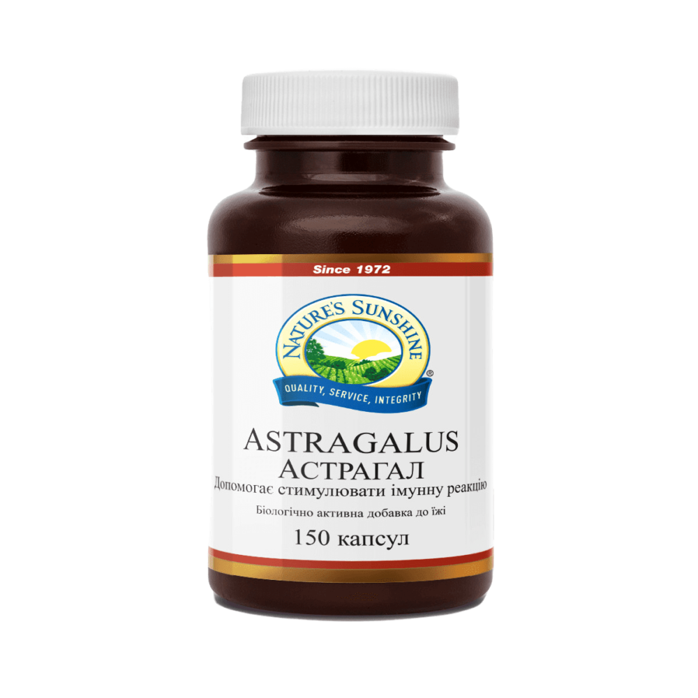 Astragalus (Астрагал)