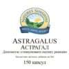 Astragalus (Астрагал)