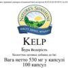 Kelp (Келп - бура водорість)