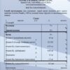 Solstic Revive (Солстік Ревайв)