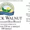 Black Walnut (Грецкий орех, черный)