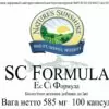SC Formula (Эс Си Формула)