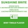 Sunshine Brite Toothpaste (Зубная  паста Саншайн Брайт)